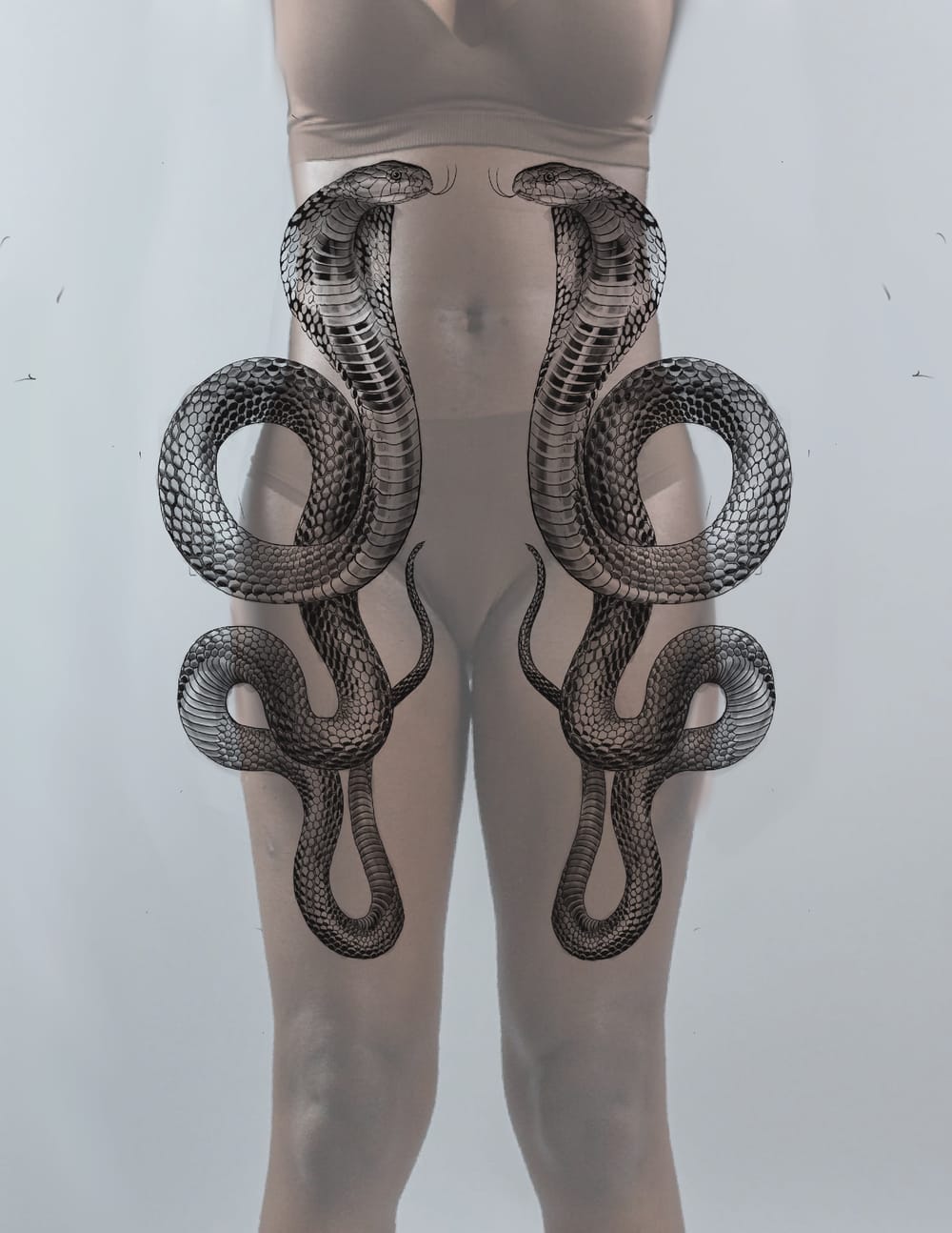 Twin Cobras